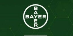 Bayer