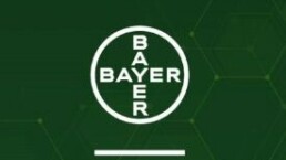 Bayer