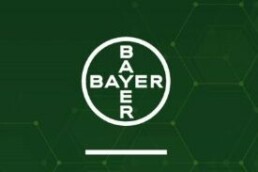 Bayer