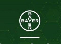 Bayer